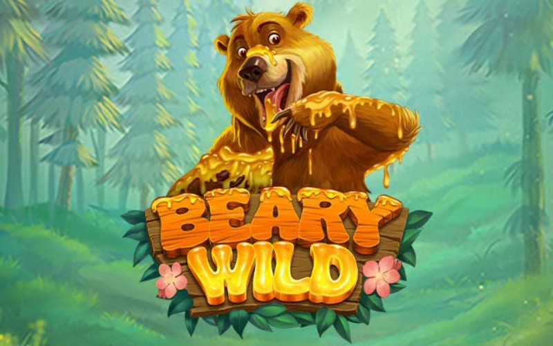Beary Wild